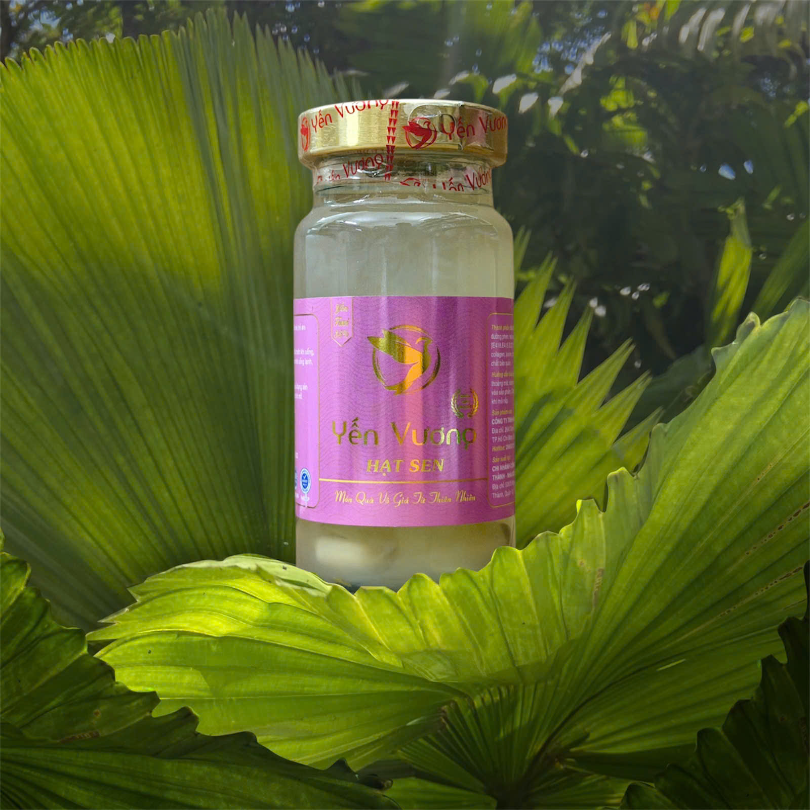 Hũ yến Vương 140ml Hạt Sen